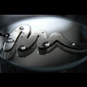 Photography by Silverkatt