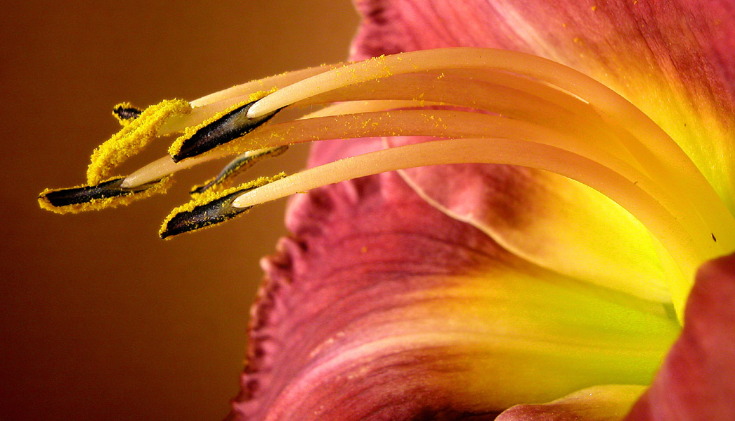 Photography by branie for DesignCrowd (Community Contests) | Design #9141982