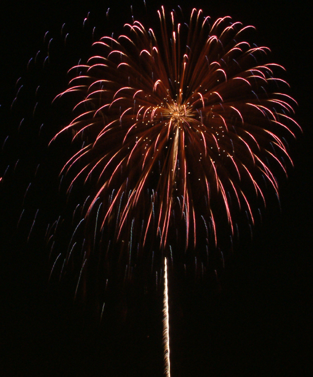 Fotografía por OneHappyFemale para DesignCrowd (Community Contests) | Diseño #9141345