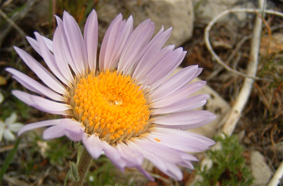 Photography by mr_luc for DesignCrowd (Community Contests) | Design #9141933