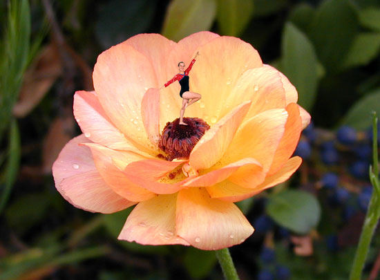 Design Photoshop par cometgymmom pour DesignCrowd (Community Contests) | Design #9139449