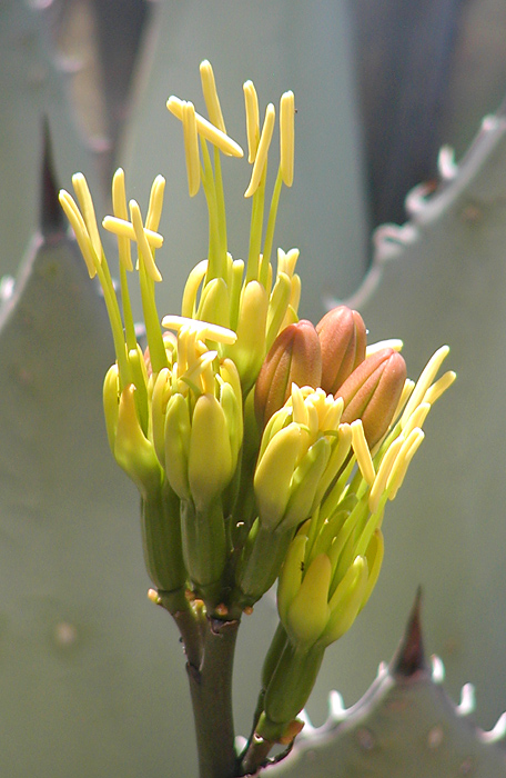 Photography by compugoddess for DesignCrowd (Community Contests) | Design #9141895