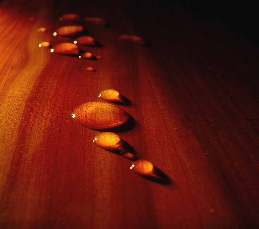 Fotografía por TampaDroid para DesignCrowd (Community Contests) | Diseño #9145648