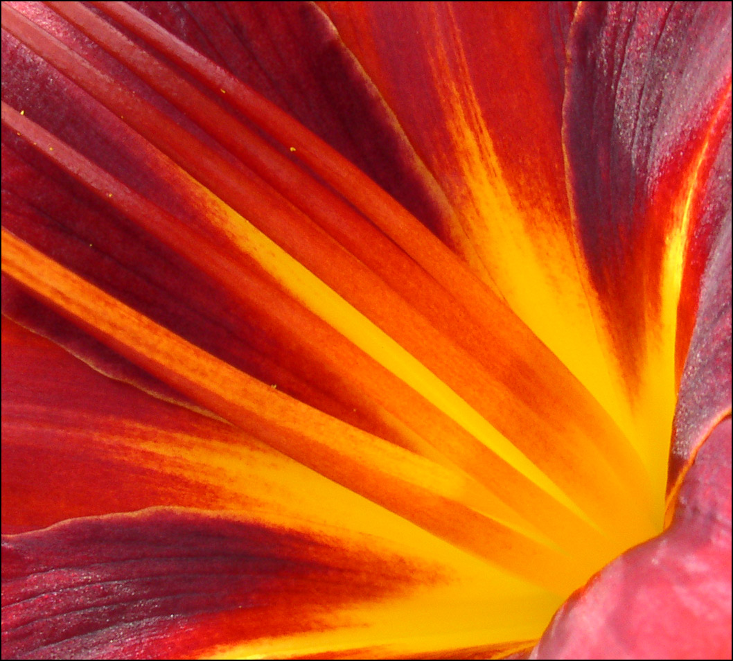 Photography by Philbert for DesignCrowd (Community Contests) | Design #9142031