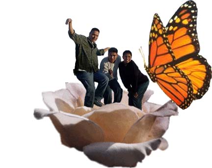 Photoshop Design by GoldFilly for DesignCrowd (Community Contests) | Design #9139596