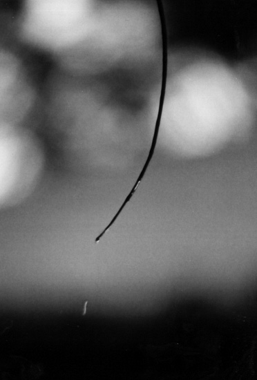 Photography by kellydor for DesignCrowd (Community Contests) | Design #9142290