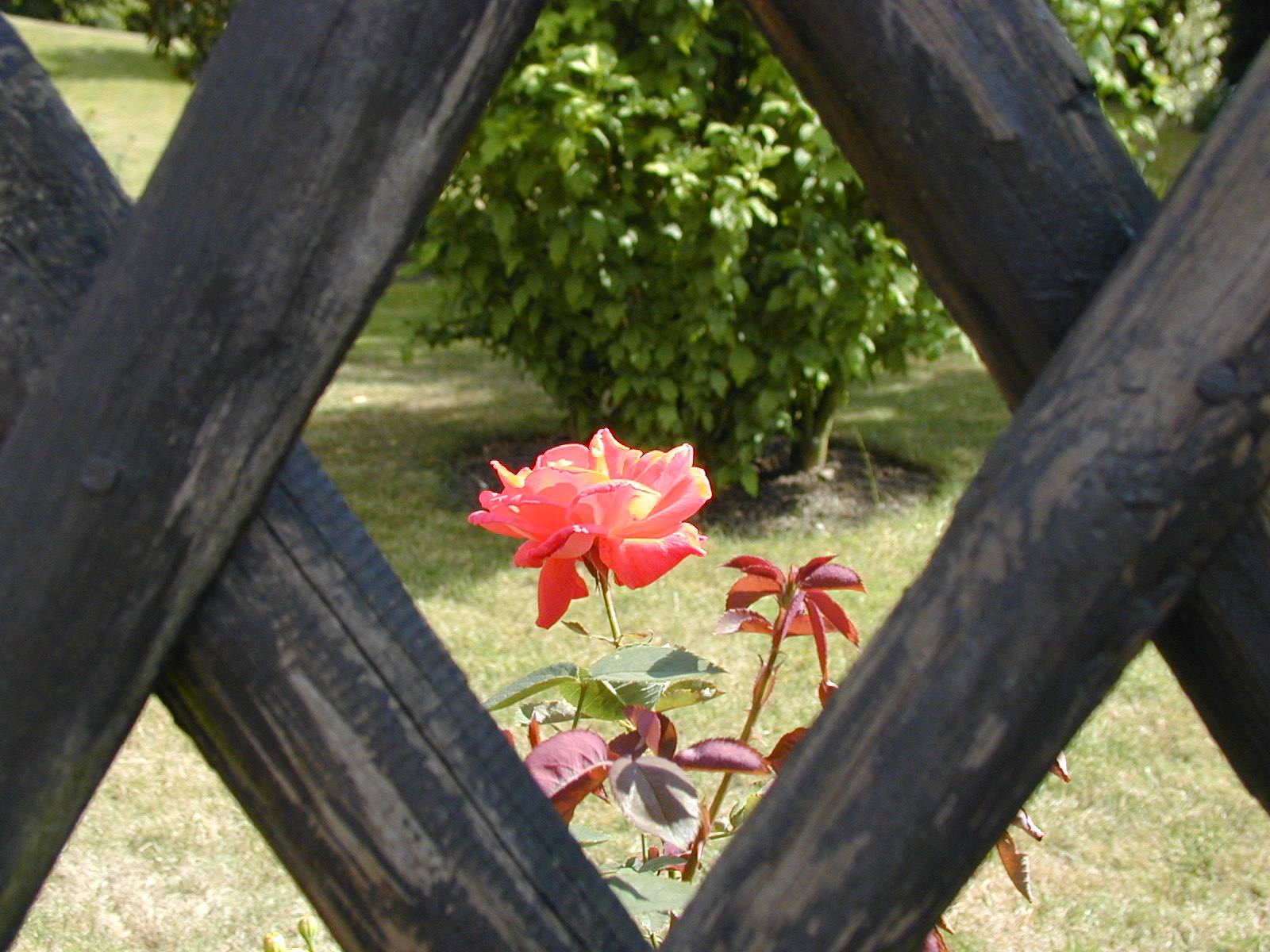 Photography by TyChO for DesignCrowd (Community Contests) | Design #9145644