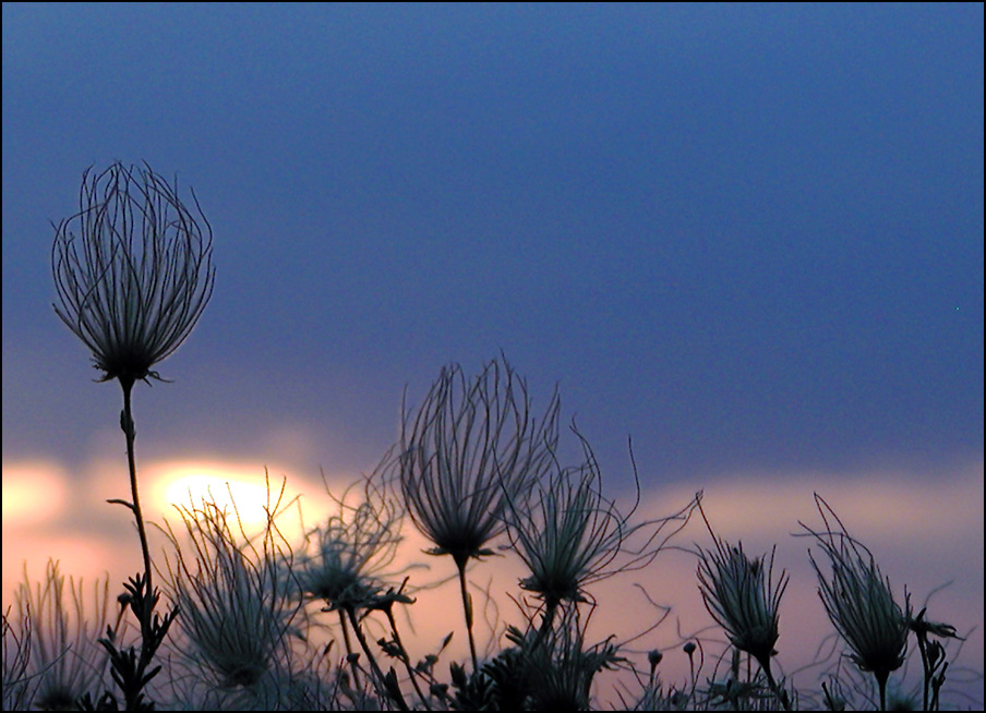 Photography by compugoddess for DesignCrowd (Community Contests) | Design #9145651