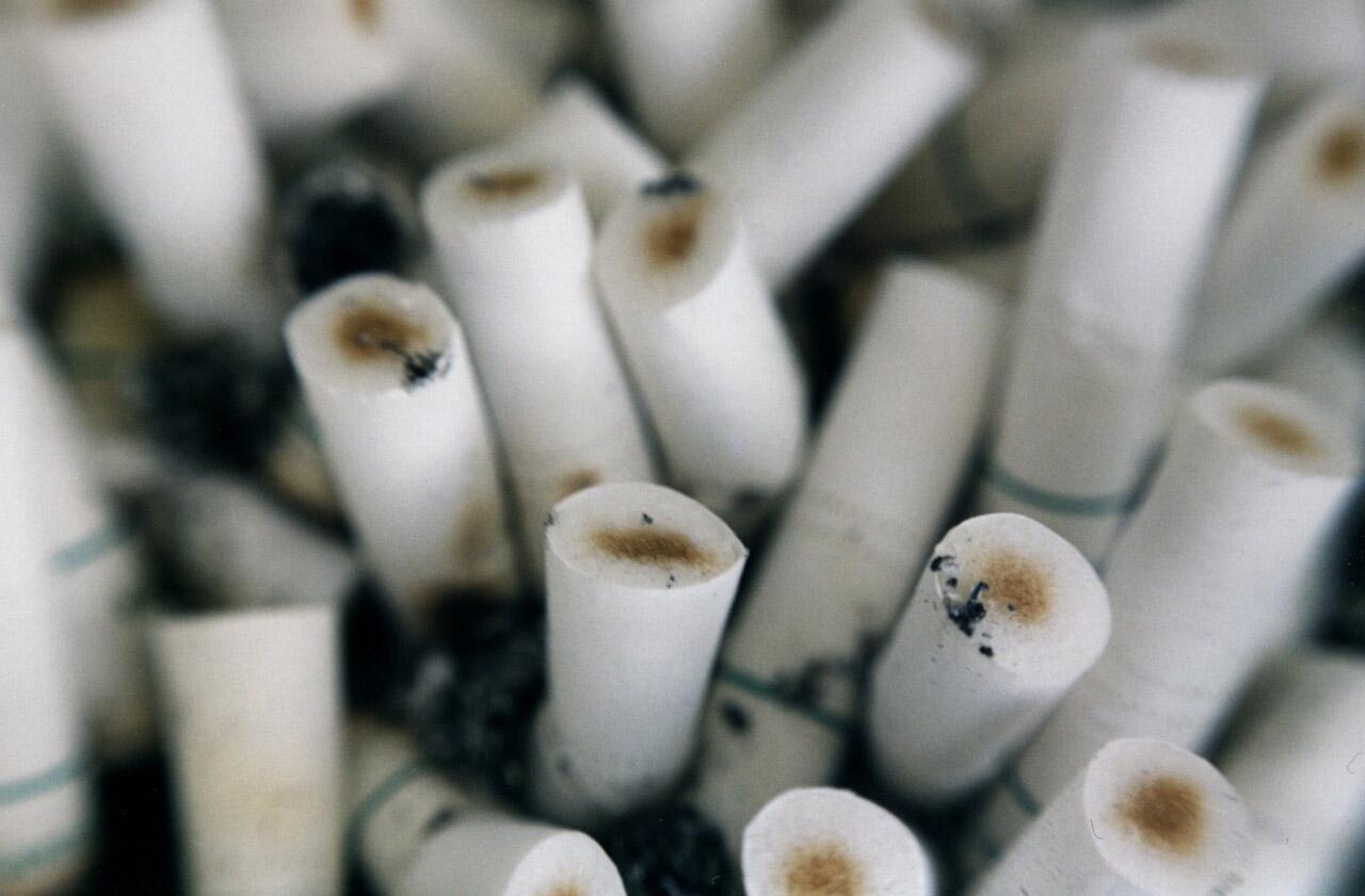 Photography by xfreetwo for DesignCrowd (Community Contests) | Design #9142216