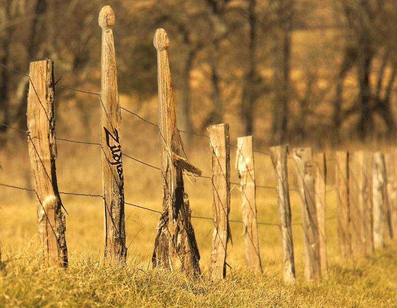 Photoshop-Design von blackjak für DesignCrowd (Community Contests) | Design #9124018