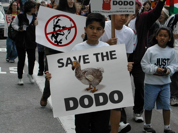 Photoshop Design by bingy for DesignCrowd (Community Contests) | Design #9142313