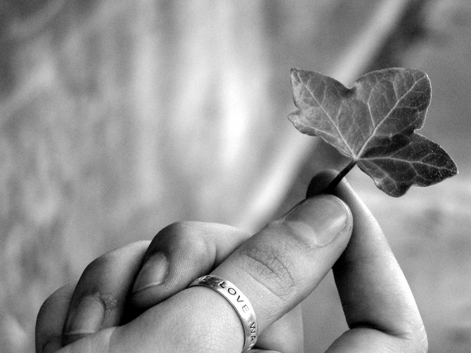 Photography by Snappy__Dragon for DesignCrowd (Community Contests) | Design #9142021