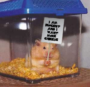 Photoshop Design by mafoca for DesignCrowd (Community Contests) | Design #9142427