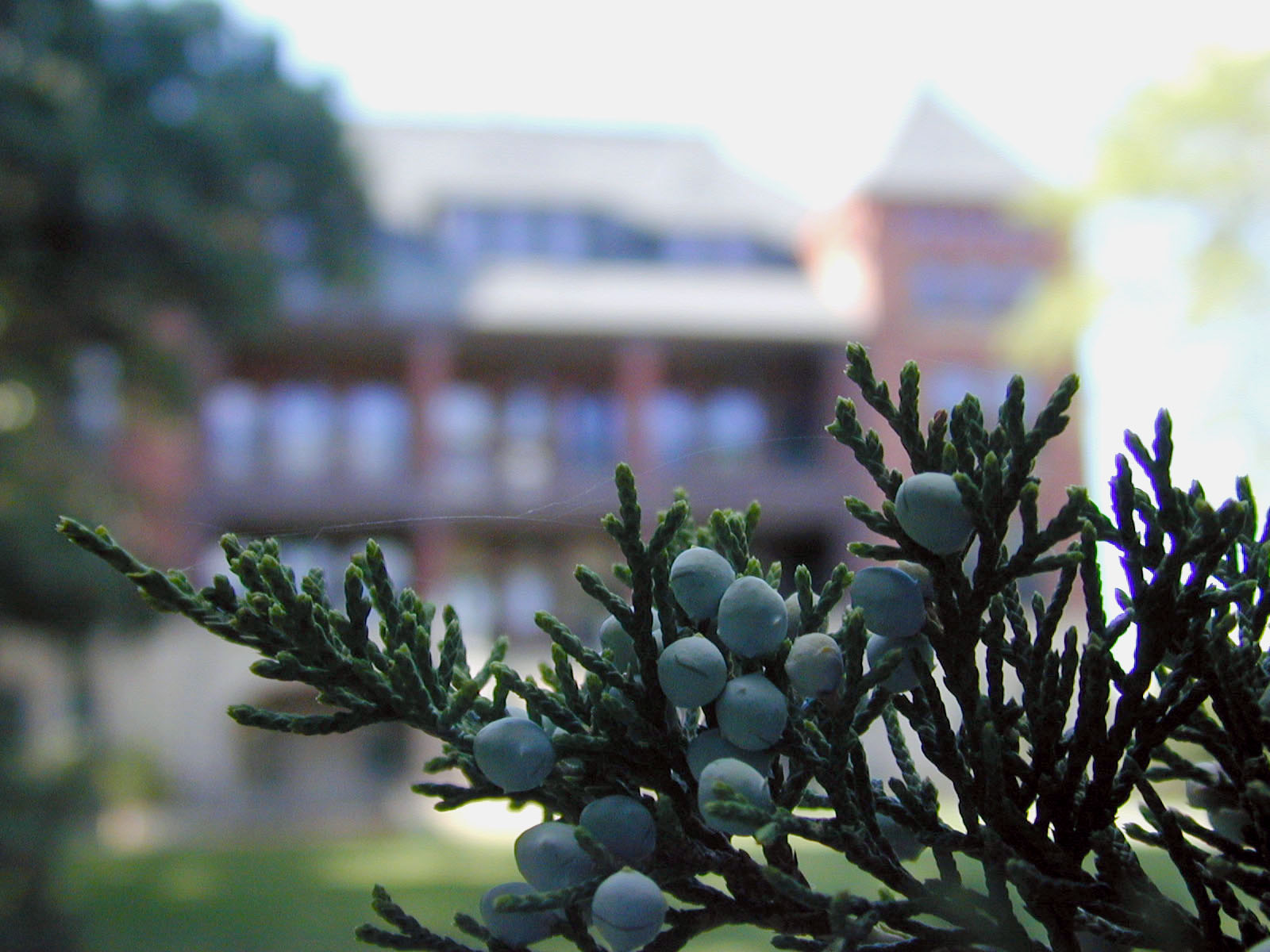 Photography by dsblack for DesignCrowd (Community Contests) | Design #9145757