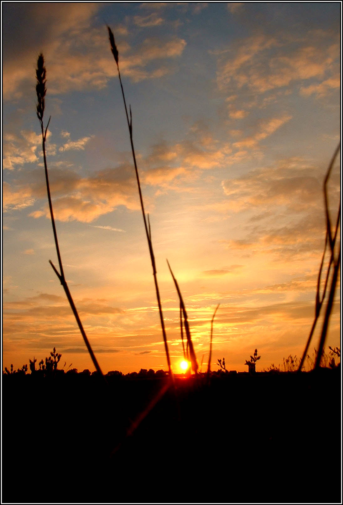 Photography by jaymeekae for DesignCrowd (Community Contests) | Design #9125981