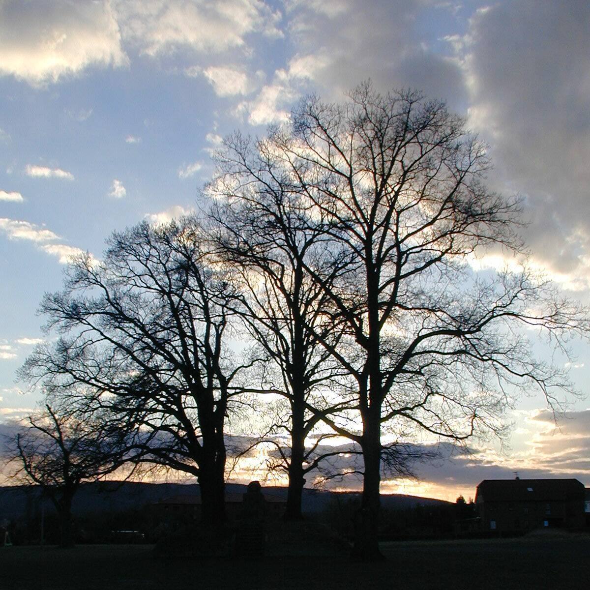 Photography by TyChO for DesignCrowd (Community Contests) | Design #9126041