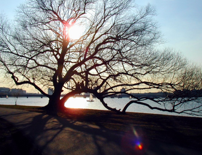 Fotografía por Tommy1de para DesignCrowd (Community Contests) | Diseño #9126045