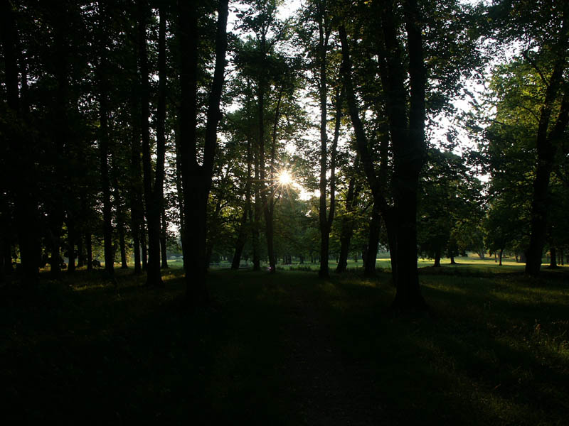 Fotografie von Incarlight für DesignCrowd (Community Contests) | Design #9126048