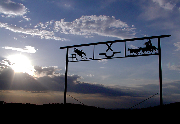 Photography by compugoddess for DesignCrowd (Community Contests) | Design #9126149