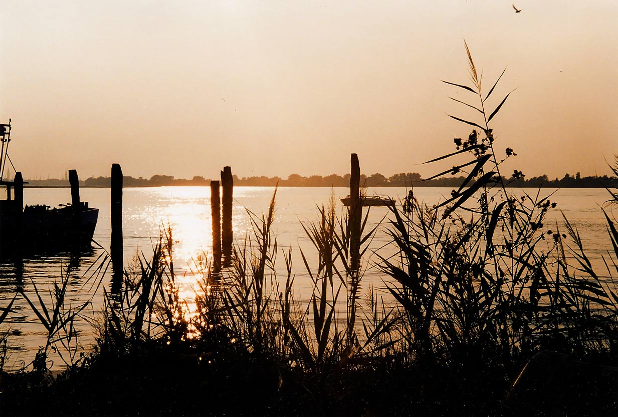 Photography by BlackFalkon for DesignCrowd (Community Contests) | Design #9126166