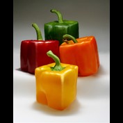 Photoshop Design by DakotaBoy88