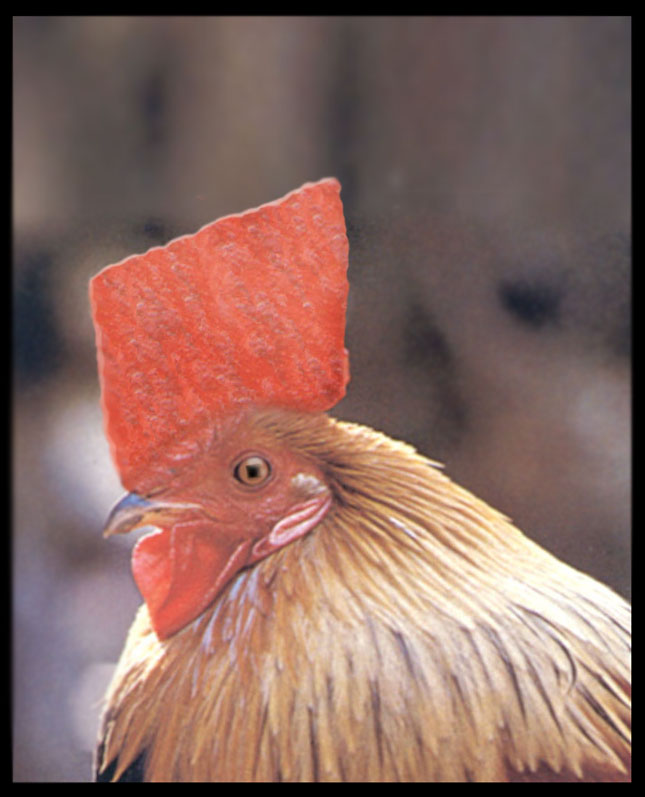 Photoshop Design by hipnoart for DesignCrowd (Community Contests) | Design #9136466