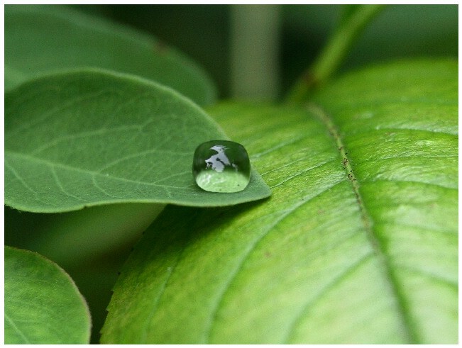 Photoshop Design by justdave for DesignCrowd (Community Contests) | Design #9136526