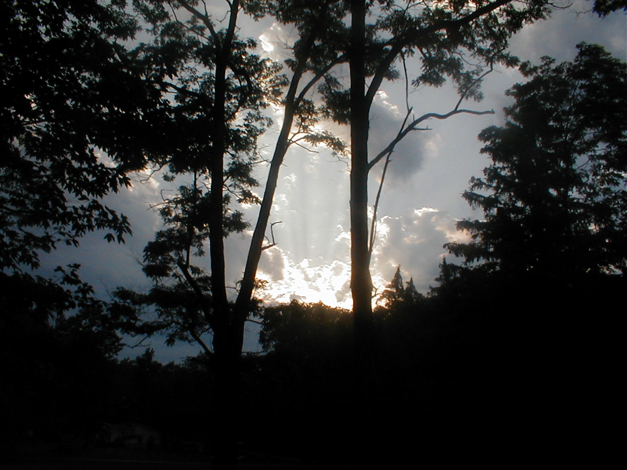 Photographie par KingPoo pour DesignCrowd (Community Contests) | Design #9126163