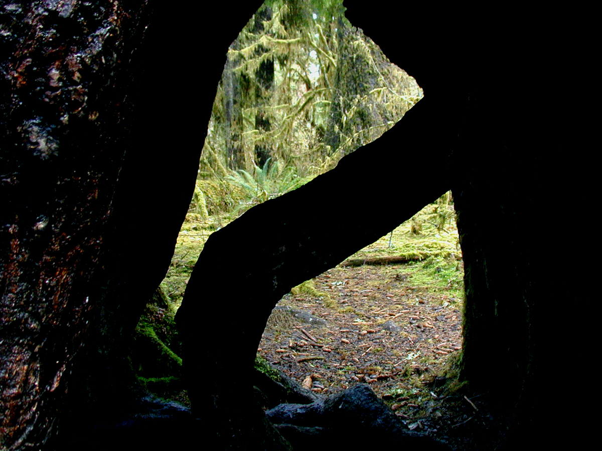 Photography by Decapod73 for DesignCrowd (Community Contests) | Design #9126148