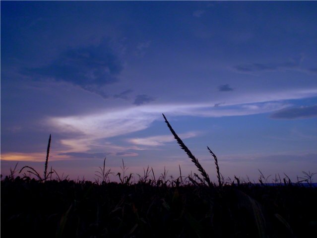 Photography by CrazyMazy for DesignCrowd (Community Contests) | Design #9126193