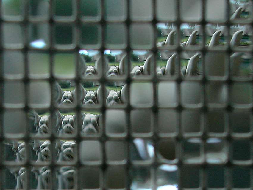 Fotografía por fearscythe para DesignCrowd (Community Contests) | Diseño #9116773