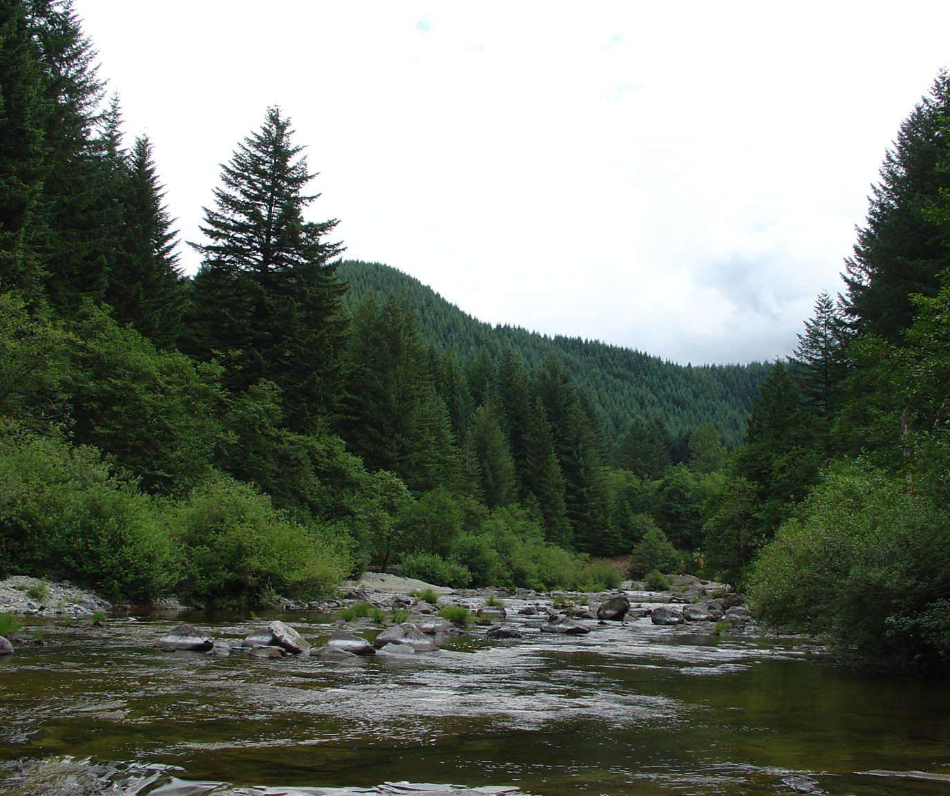 Photography by Pavel_87_BANNED for DesignCrowd (Community Contests) | Design #9116827