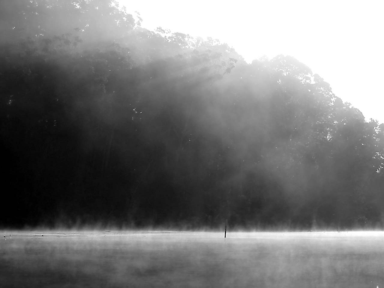 Fotografie von gbur für DesignCrowd (Community Contests) | Design #9116828