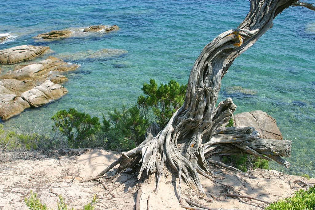 Photography by BlackFalkon for DesignCrowd (Community Contests) | Design #9116832