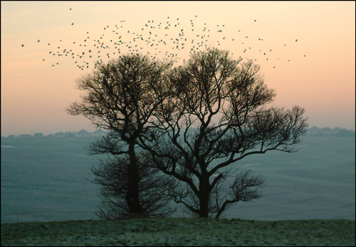 Photography by FastLane for DesignCrowd (Community Contests) | Design #9116830