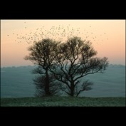 Photography by FastLane