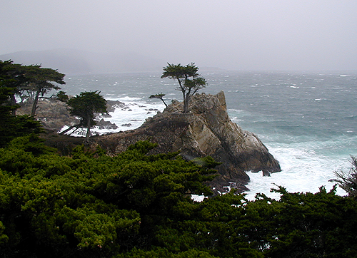 Photography by cometgymmom for DesignCrowd (Community Contests) | Design #9116851