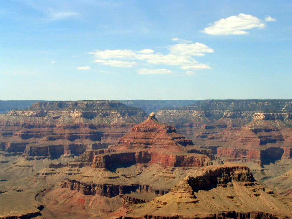 Photography by Scarlette for DesignCrowd (Community Contests) | Design #9116848