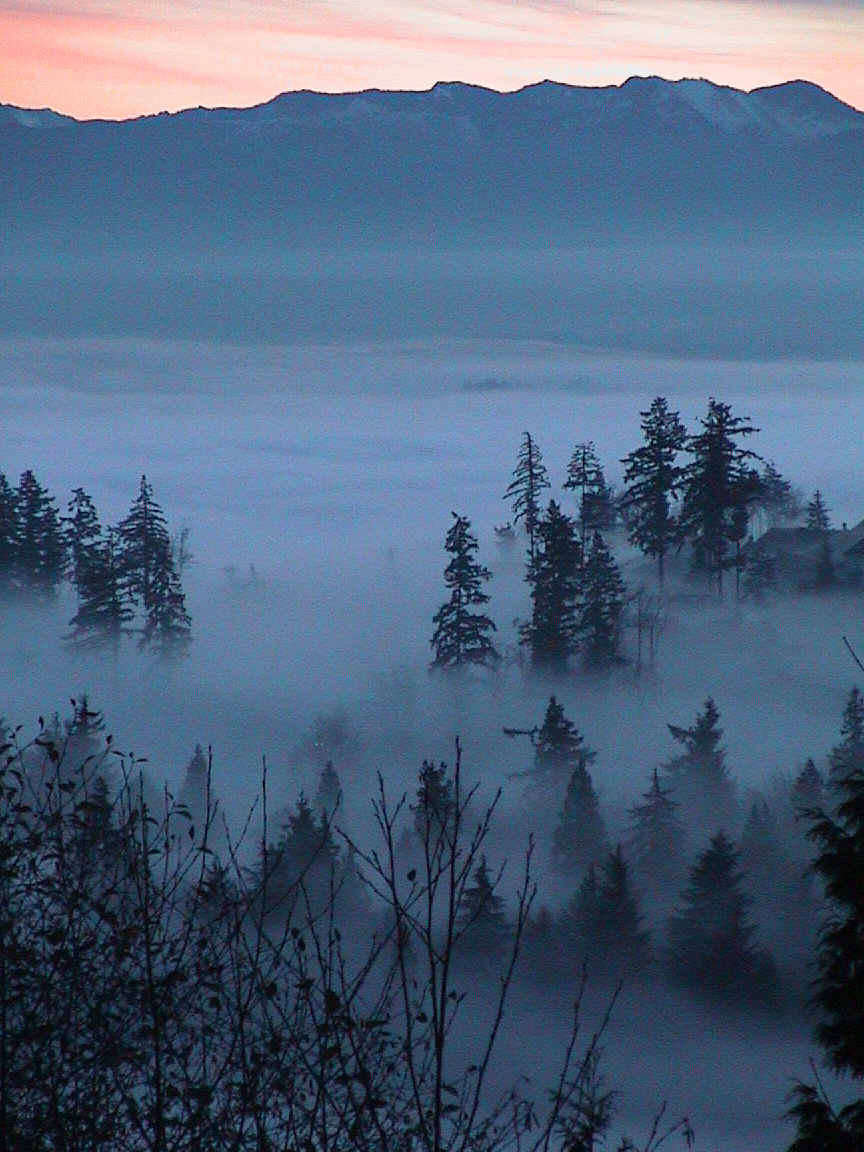 Photography by Flatdog for DesignCrowd (Community Contests) | Design #9116838
