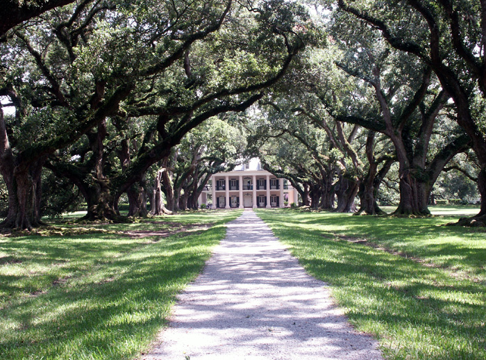 Fotografía por Chiqui74 para DesignCrowd (Community Contests) | Diseño #9116892