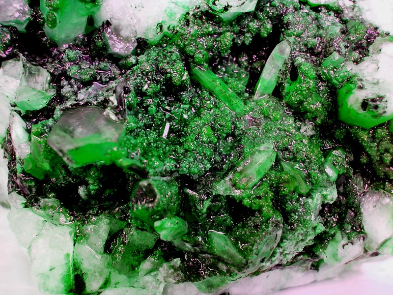 Photographie par DaftGretel pour DesignCrowd (Community Contests) | Design #9145329