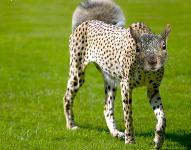 Design Photoshop par justdave pour DesignCrowd (Community Contests) | Design #9113824