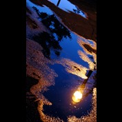 Photography by rwolosyn