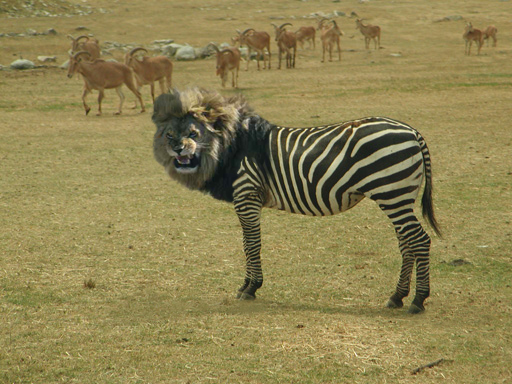 Photoshop-Design von Megain für DesignCrowd (Community Contests) | Design #9113821