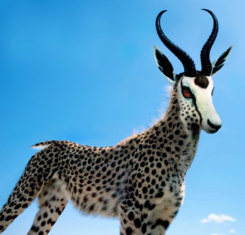 Photoshop Design by DakotaBoy88 for DesignCrowd (Community Contests) | Design #9113832