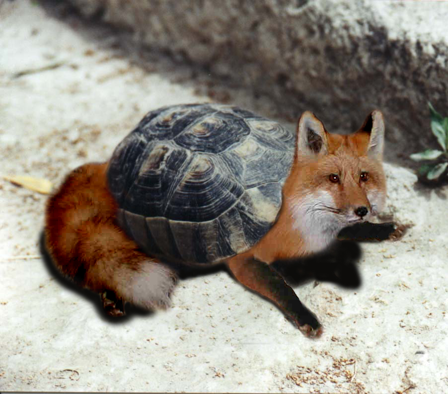 Photoshop-Design von CopperMiner für DesignCrowd (Community Contests) | Design #9113834