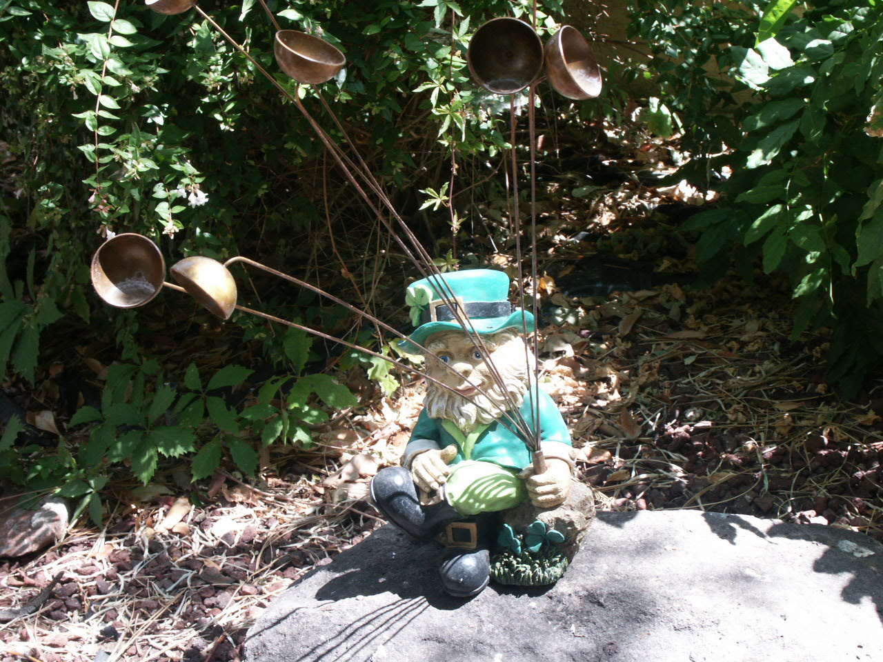 Photography by Vincent for DesignCrowd (Community Contests) | Design #9145347