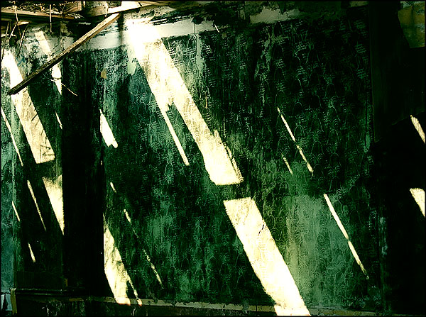 Photographie par Jealousy pour DesignCrowd (Community Contests) | Design #9145355