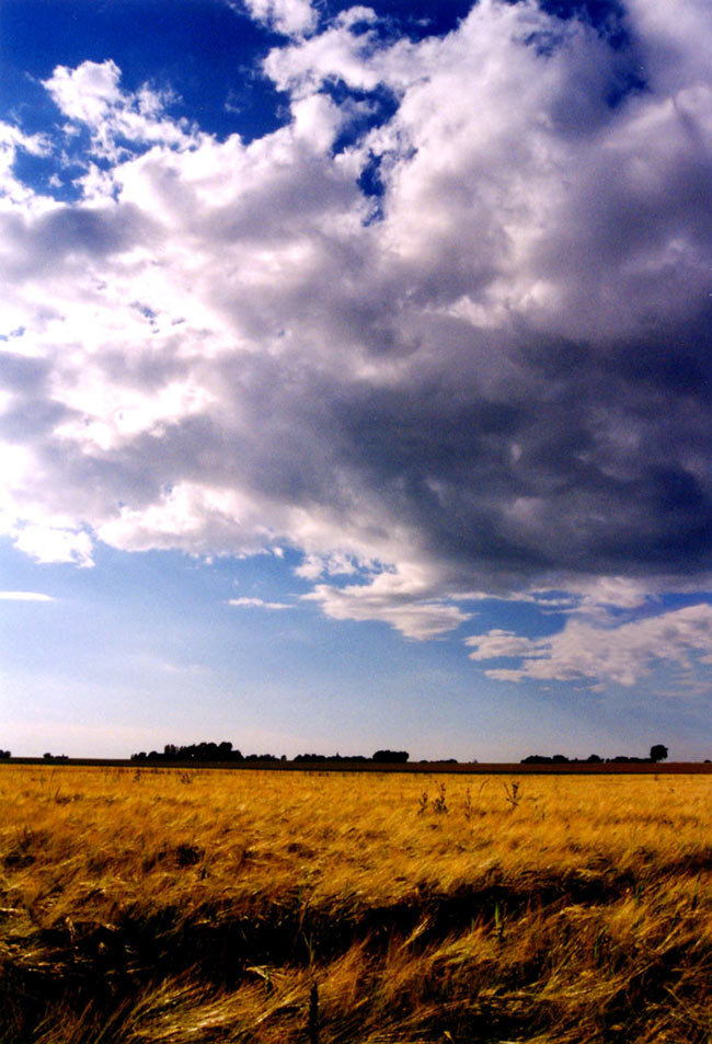 Photography by majd for DesignCrowd (Community Contests) | Design #9116950