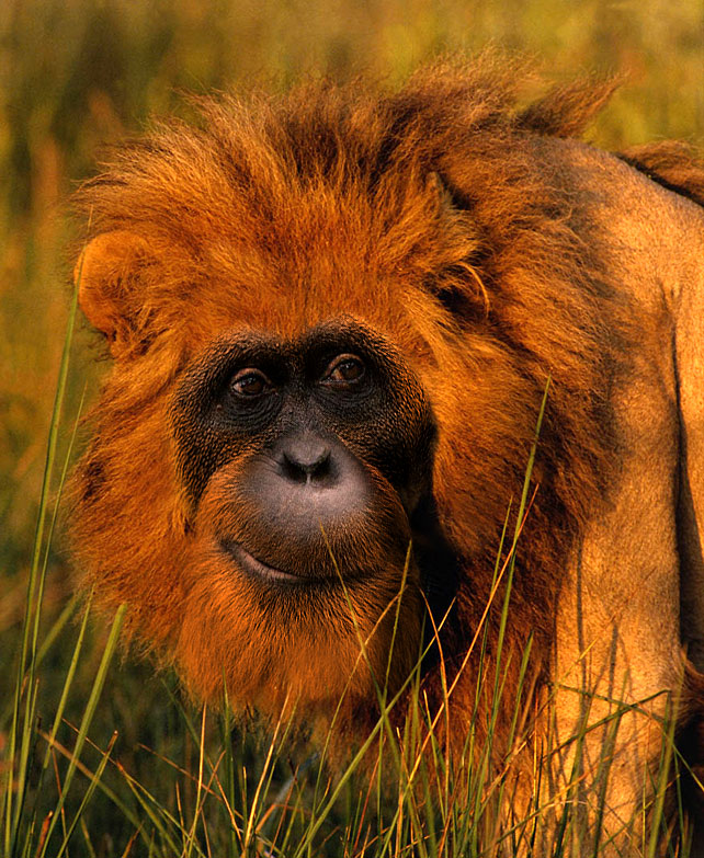 Photoshop Design by fRedline for DesignCrowd (Community Contests) | Design #9113858